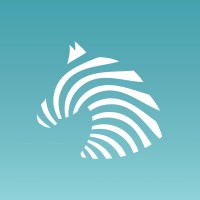 ZYBRA logo - Similar company to Zybra Group
