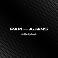 Pam Dijital Performans Ajansı logo - Similar company to Pushouse
