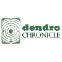 Dendrochronicle logo - Similar company to Global Ocean Decade Programme For Blue Carbon (Go-Bc)