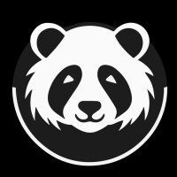 BoostPanda AI logo - Similar company to Dev Data Dynamics (D³)