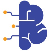 Brainic logo - Similar company to Branic Tech Solutions Private Limited