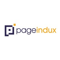 Pageindux Technologies logo - Similar company to Digibyte Studio