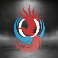 Mondliv logo - Similar company to Bangsonic Srl