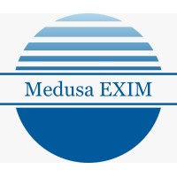 Medusa EXIM logo - Similar company to Shreenathji Fab