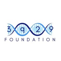 3q29 Foundation logo - Similar company to Nook Design Collective