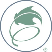 Ivie logo - Similar company to Studio214