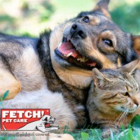 Fetch Pet Care Pittsburgh