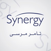 Synergy Tamer Mursi logo - Similar company to Pod Egypt
