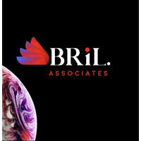 Bridge & Link Associates logo - Similar company to Dataexploras