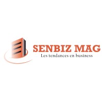 SENBIZ MAG logo - Similar company to Workflex-Rh