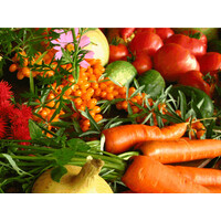 AGRO  ELEVAGE logo - Similar company to Cefprepas - Centre De Formation En Elevage, Pisciculture Et Agriculture De Soa - Cefprepas
