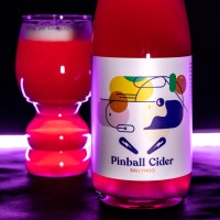 Pinball Cider logo - Similar company to Bad Supper