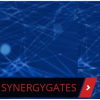 SYNERGY GATES logo - Similar company to Te Solution