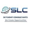 Skylight Consultants logo - Similar company to Ebluesoft Services