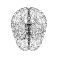 TRANSKRYPT.IO logo - Similar company to Mcplus It