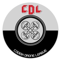 League Of Codeix logo - Similar company to Codeix