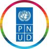UNDP Tunisia logo - Similar company to Zerda Academy