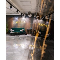 Caisla logo - Similar company to Light Cognitive
