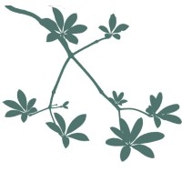 EXISTENTIAL KNOWLEDGE FOUNDATION logo - Similar company to Practice Labs