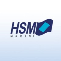 HSM Group of Companies logo - Similar company to Mdc Group