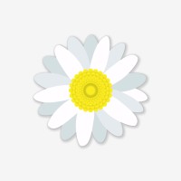 Notedaisy logo - Similar company to 3Vima® Pty Ltd
