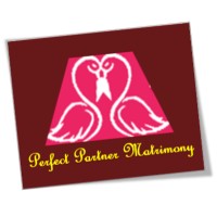 Perfect Partner Matrimony logo - Similar company to Matrimony Directory