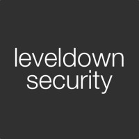 leveldown security logo - Similar company to Hextree.Io