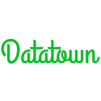 Datatown logo - Similar company to Conceptech