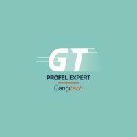 Gangitech Profel Expert logo - Similar company to Renowindow