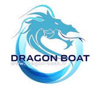 Dragon Boat Concept logo - Similar company to Cargo Lyon