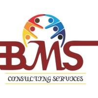BMS Consulting Services logo - Similar company to Bms Recruitment Services