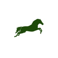 Amarint Consulting logo - Similar company to Maganda Properties