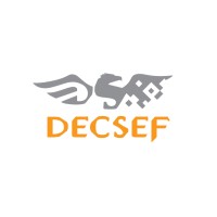 DECSEF SISTEMAS logo - Similar company to Spbatc