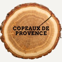 Copeaux de Provence logo - Similar company to Les Copeaux Numériques