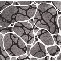 Jen Macias LLC logo - Similar company to Convergence Point Consulting