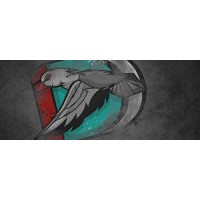 Iron Duck Designs