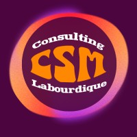 CSM Consulting Labourdique logo - Similar company to Mentor Goal