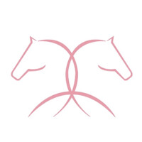 Steed International Trade S.A. logo - Similar company to Netz Global Logistics