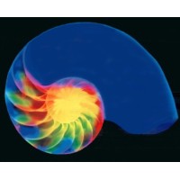 SMC stefano menotti colucci & partners architects logo - Similar company to Mcm Engineering