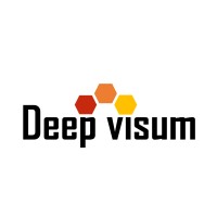 Deep Visum logo - Similar company to Idrivecareer