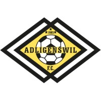 FC Adligenswil logo - Similar company to Zug 94
