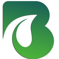 BeingMash Services (BMS) logo - Similar company to Hat It Solutions
