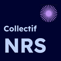 Collectif numérique responsable et soutenable (NRS) logo - Similar company to Fruggr By Digital4Better