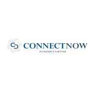 Connect Now Investment Partners B.V. logo - Similar company to Techsprout Organization