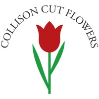 Collison Cut Flowers Ltd logo - Similar company to Evolve Flowers