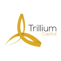 Trillium Capital Ltd logo - Similar company to Volt - Center For Volatile Interactions