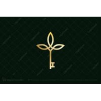 Keysan Tech logo - Similar company to Keyanntech Solutions