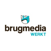 Brugmedia Werkt logo - Similar company to Brugmedia