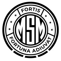 MSM Performance Academy logo - Similar company to Viking Logistics, Inc