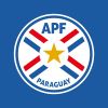 Asociación Paraguaya de Fútbol logo - Similar company to Club Olimpia